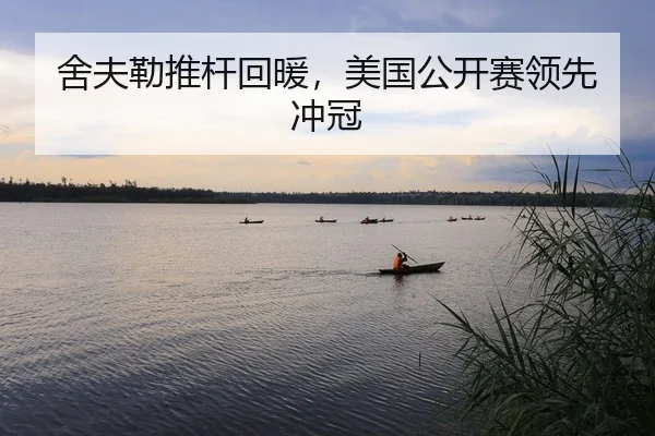 she-fu-lei-tui-gan-hui-nuan-mei-guo-gong-kai-sai-ling-xian-chong-guan-2-223.jpg